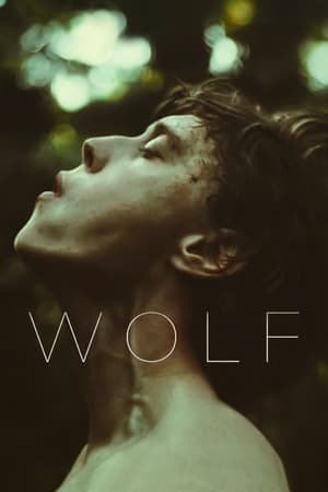 Wolf (2021) Hindi Dual Audio HDRip | Hindi Dubbed Movie – 480p